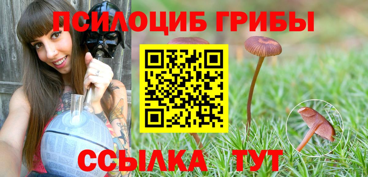 Галлюциногенные грибы прущие грибы Кудрово