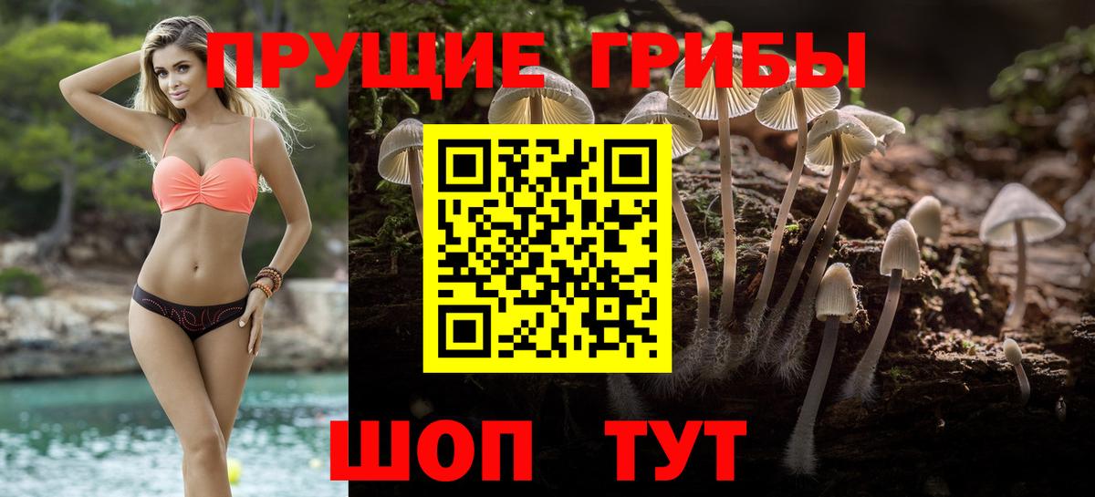 Кудрово  Галлюциногенные грибы ЛСД  Вход с VPN 